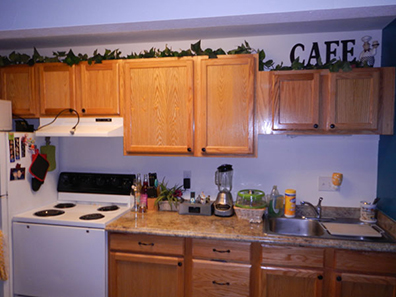 Niwot Rentals Unit 4 Kitchen