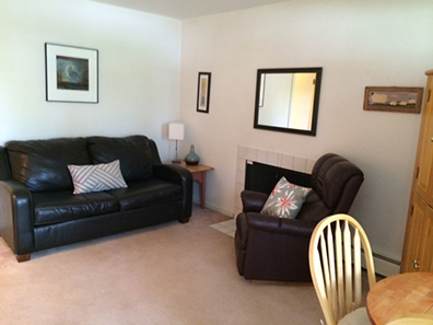 Niwot Rentals Unit 8 Living Room